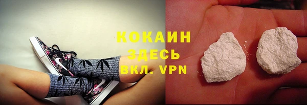 гидра Баксан