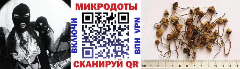 Псилоцибиновые грибы ЛСД  Вязники 